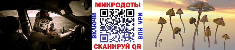 Псилоцибиновые грибы мухоморы  Купить где  Бронницы 