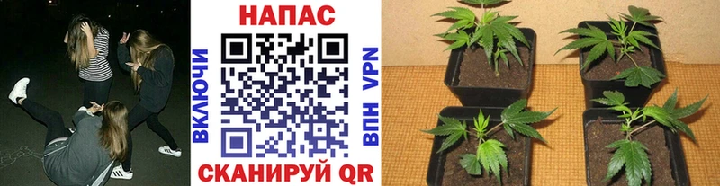 МАРИХУАНА LSD WEED  Купить закладки  Бронницы 